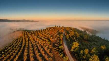 Portuguese Capela de Nossa Sra. das Neves