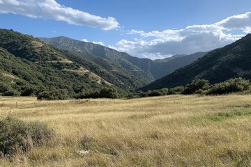 Expansive mountain valley under a brilliant blue sky with soft clouds in the afternoon light