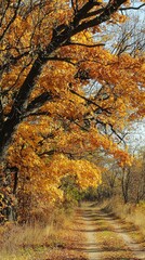 Fototapeta premium Golden autumn leaves lining a tranquil dirt path through a serene forest setting