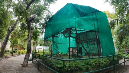 Enclosure designed for animal habitat showing lush vegetation and protective netting in a wildlife...