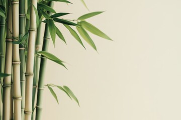 Fresh bamboo stalks artfully arranged against a neutral background showcasing natural beauty