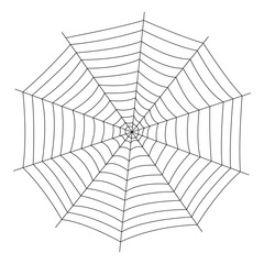 Obraz premium Spider Web Illustration