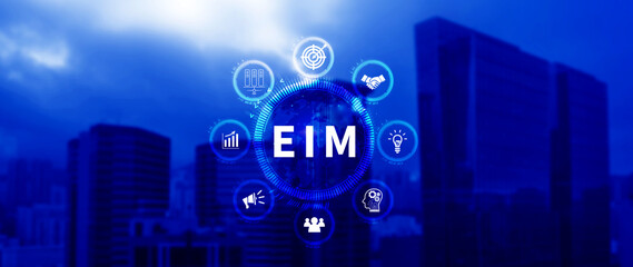 EIM Enterprise information management system, EIM Global Network with Analyzing Technological Data, Efficient Information Management, Network Connection.