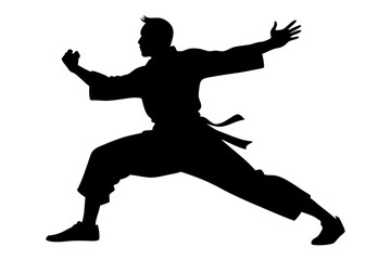 Martial Arts Silhouettes | vector silhouette illustration on white background