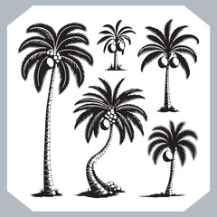 Fototapeta premium Set of logotype black simple palm tree vector silhouettes, Palm Trees Silhouette, Coconut Tree Silhouette on white background