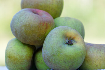 pommes poires 