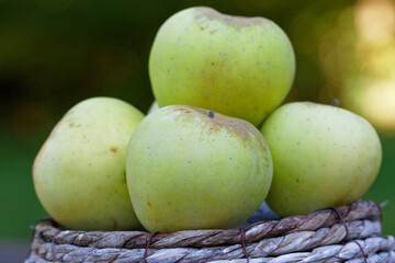 pommes poires 