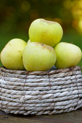 pommes poires 