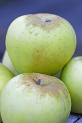 pommes poires 