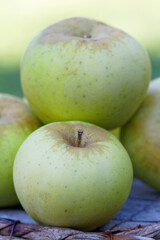 pommes poires 
