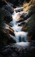 Obraz premium Small waterfall flowing over moss-covered rocks in an autumn forest Generative AI