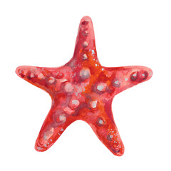 Starfish from the series sea creatures underwater world in watercolor. Asterias Rubens in reddish with a central disk and five arms. The common Starfish, common Sea Star or Sugar Starfish is drawn in