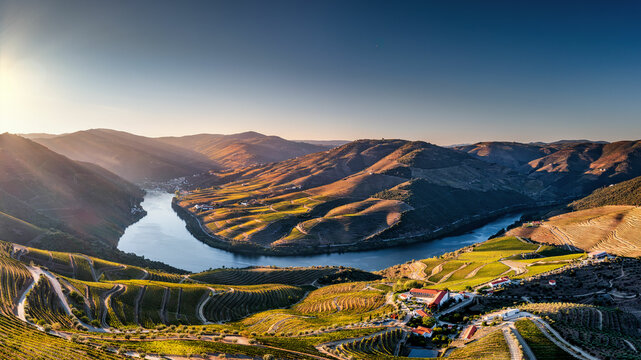 terraced Portuguese vineyards near Nagozelo do Douro