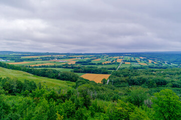 Agricultural Fields in East Hokkaido