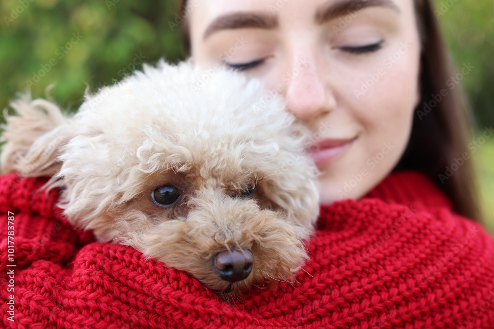 Canvas Prints Portrait of woman with cute dog outdoors, closeup