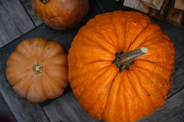 Autumn Thanksgiving composition,Pumpkin harvest Autumn decor design. autumn concept
