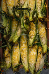 Harvested corn in wooden box, close-up. Autumn concept