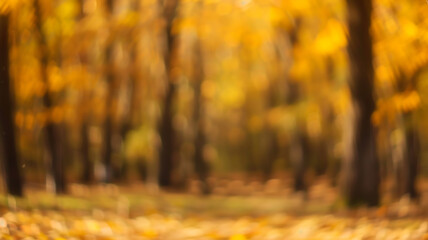 Obraz premium The background is an autumn park, a blurred backdrop of yellow trees