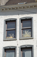 Close-up of two windows in a white brick building, showcasing decorative elements and sunlight illuminating ornamental dried plants inside
