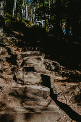 Stone steps lead hikers up a forested path surrounded by trees on a sunny day in nature