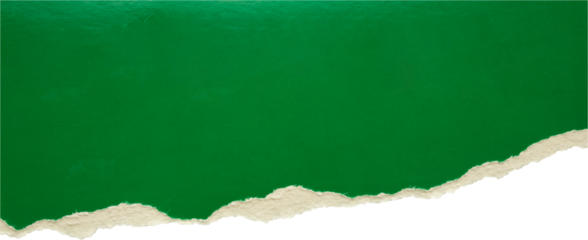 Green ripped paper torn edges strips isolated on black background