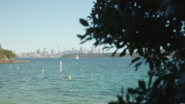 View of sunny Sydney Australia city skyline through tree branch leaves. Blue ocean waters with the city in background and a tree showing. Peaceful and beautiful day during wintertime down south