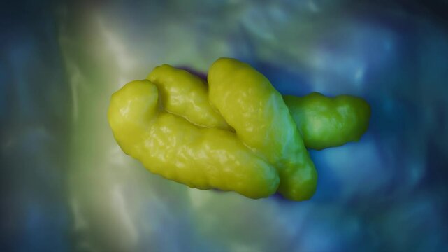 Campylobacter jejuni bacteria close-up of microscopic view created in 3d