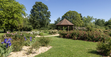 Parc paysager au printemps