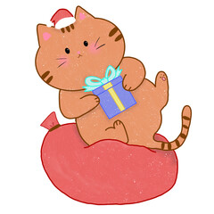 Cat sleeping on a gift