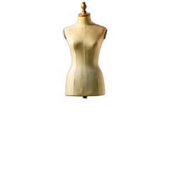 wooden mannequin isolated on white