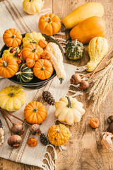 Still life with assorted pumpkins on kitchen table for Thanksgiving and Halloween