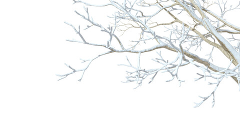 Snowy cover tree branches wintertime weather isolated transparent backgrounds 3d illustrations png © Krit