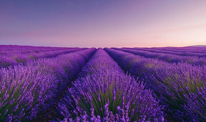 Obraz premium Dreamlike Landscapes and Mystical Gardens with Vibrant Flowers and Glowing Nature