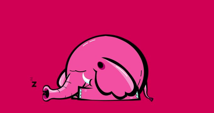 Cartoon pink elephant sleeping isolated animation black outline . Animated character isolated good for any material for kids, adverts, etc... Cute linear color animal animation for any video movie 4K.