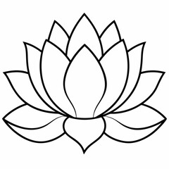 lotus flower vector