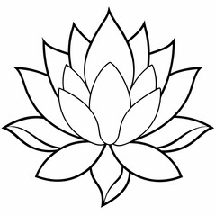 lotus flower vector