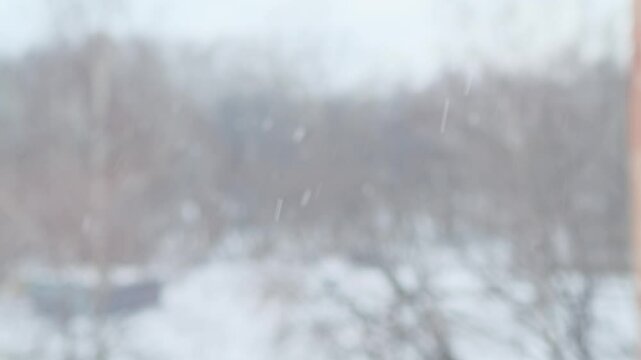 Footage of falling snow on blurred background of trees. Winter landscape through the window. Snowing - winter theme.