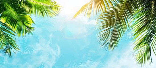 Naklejka premium Tropical Foliage Against Clear Sky