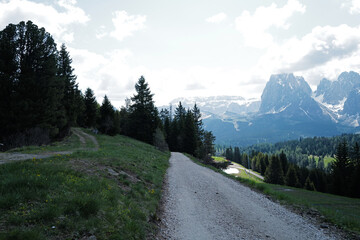 Obraz premium Natural pathway among landscape of Alpe de Suisse, The Seiser Alm with green meadows, lovely hill range with typical rocky mountains ridge of the dolomites plateau- South Tyrol, Italy