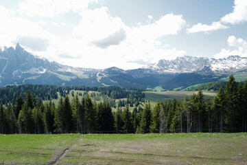 Natural pathway among landscape of Alpe de Suisse, The Seiser Alm with green meadows, lovely hill range with typical rocky mountains ridge of the dolomites plateau- South Tyrol, Italy