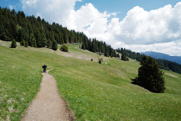 Natural pathway among landscape of Alpe de Suisse, The Seiser Alm with green meadows, lovely hill range with typical rocky mountains ridge of the dolomites plateau- South Tyrol, Italy