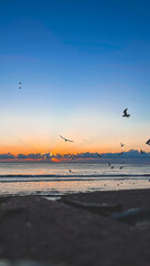 sunrise on the sea