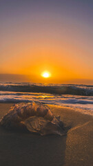 sunrise on the sea