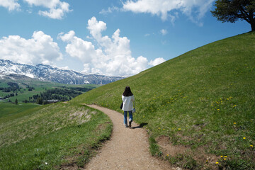 Tourist trekking along natural pathway of Alpe de Suisse, The Seiser Alm with green meadows, lovely hill range with typical rocky mountains ridge of the dolomites plateau- South Tyrol, Italy