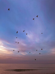 sunrise on the sea