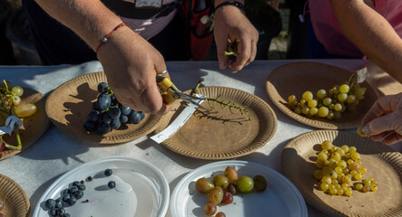 A group of people are cutting up grapes and placing them on plates