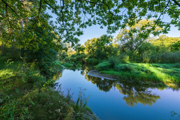 A river with trees on either side