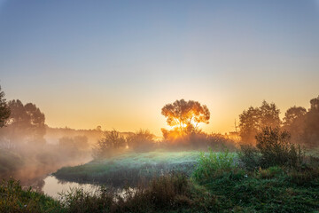 Naklejka premium A tree is silhouetted against the sky as the sun sets