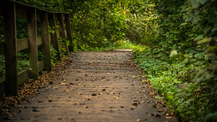 Obraz premium educational trail in Tata