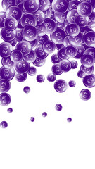 Vitamin D3 round capsules.